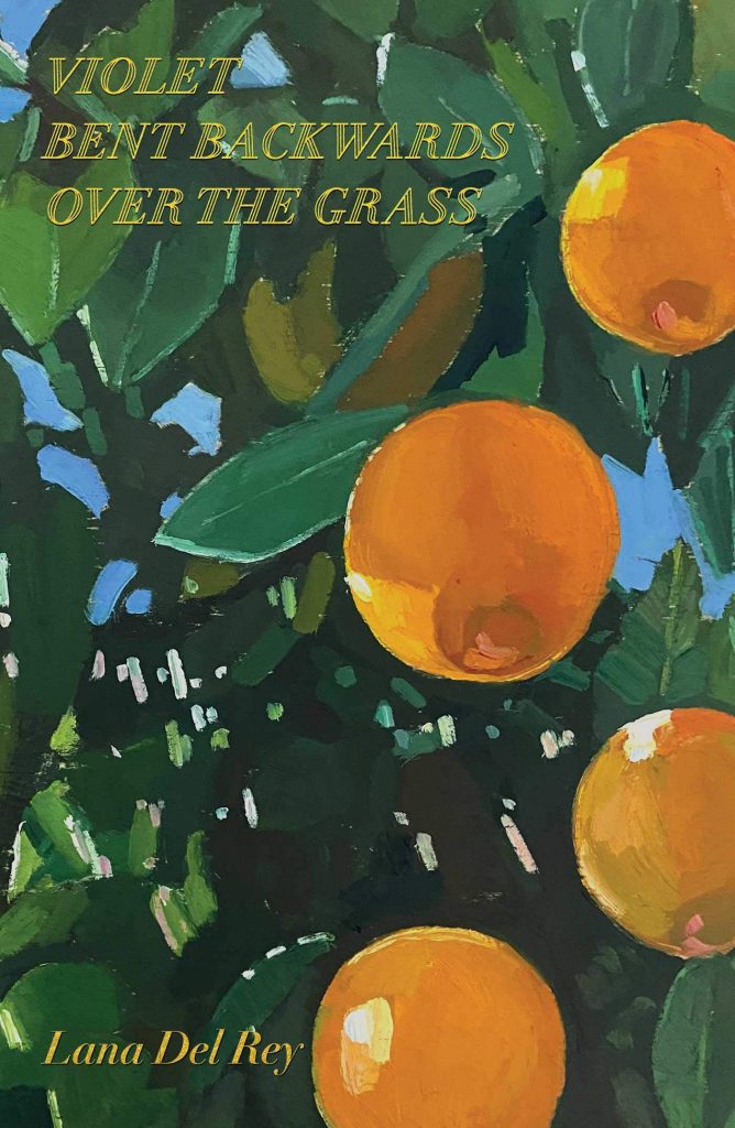 Lana Del Rey - Violet Bent Backwards Over the Grass [The Book]