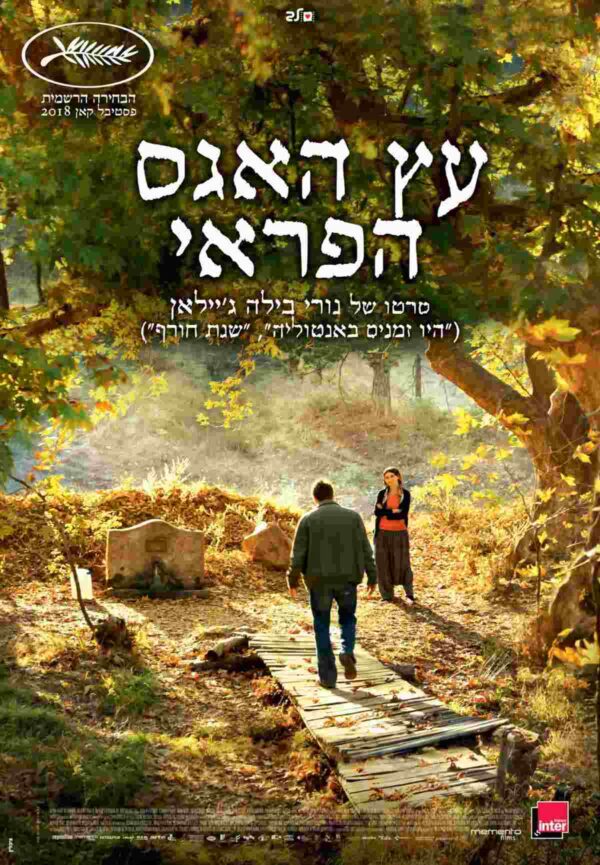 עץ האגס הפראי | The Wild Pear Tree