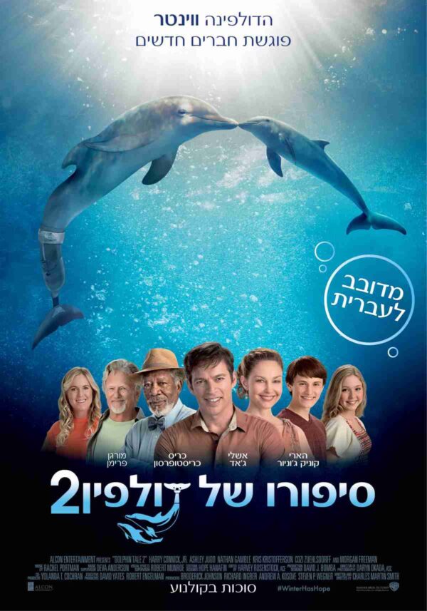 סיפורו של דולפין 2 | Dolphin Tale 2