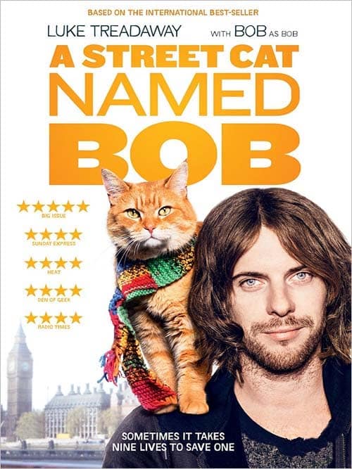 חתול רחוב ושמו בוב