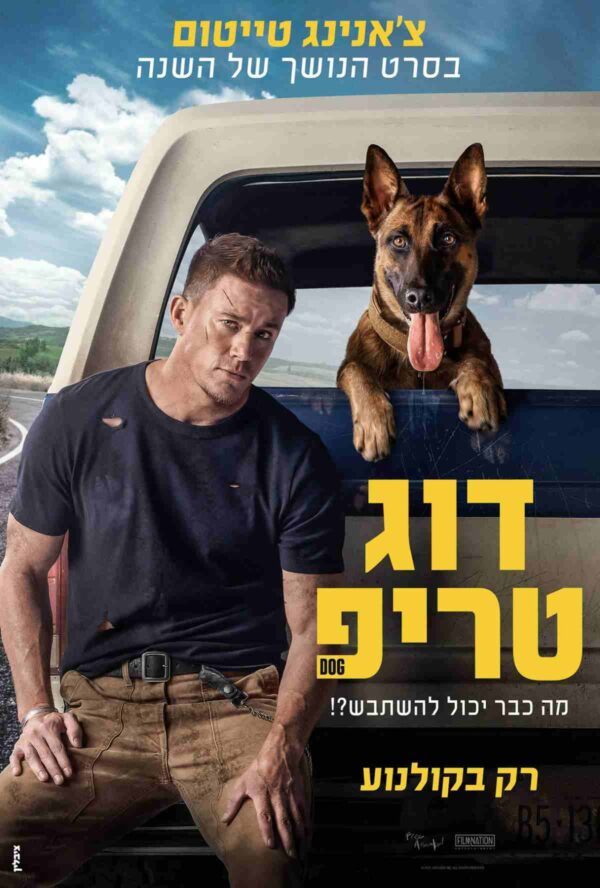 דוג טריפ | Dog