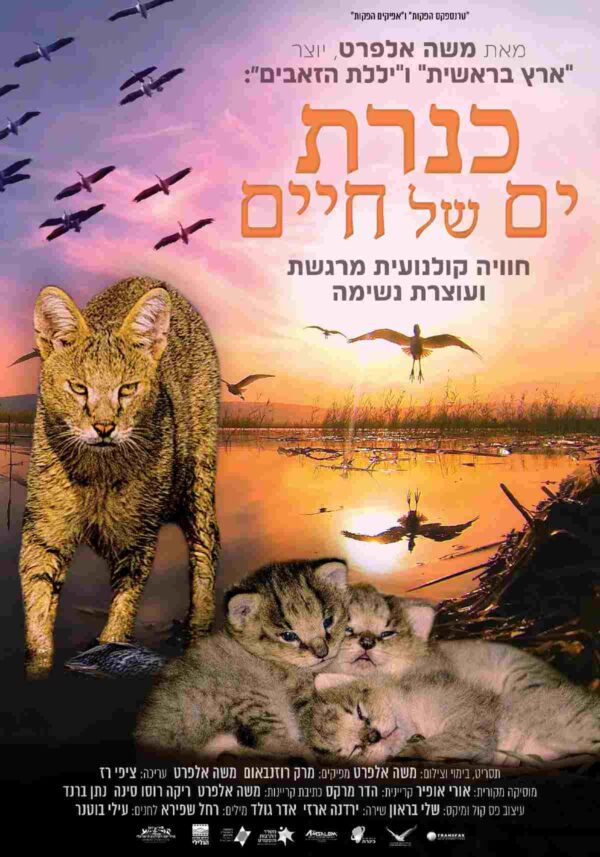 כנרת: ים של חיים | Kinneret: Sea of Life