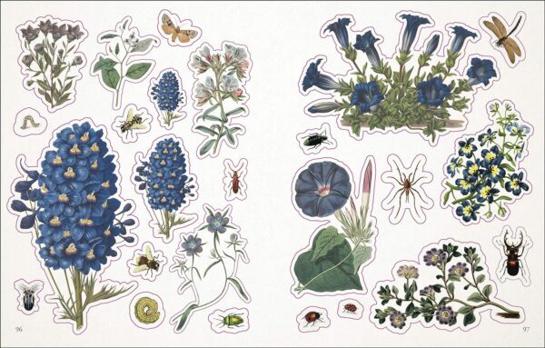 The Botanist's Sticker Anthology: With More Than 1,000 Vintage Stickers (DK Sticker Anthology)