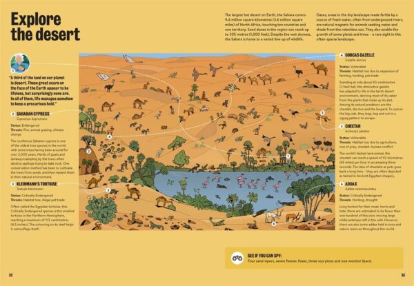 ⁦Where’s Attenborough?: Search for David Attenborough in the Jungle, Desert, Ocean, and More⁩ – תמונה ⁦2⁩