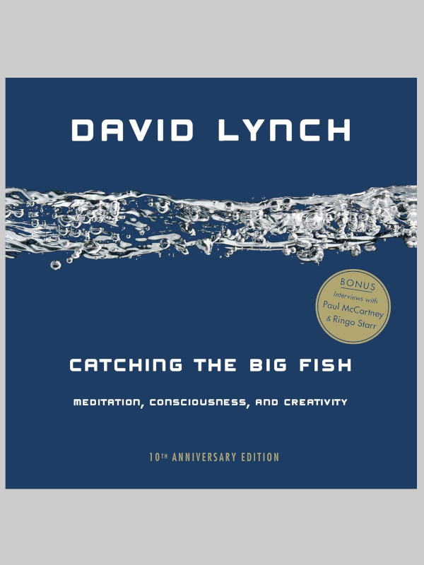 Catching the Big Fish: Meditation, Consciousness, and Creativity Catching the Big Fish: Meditation, Consciousness, and Creativity