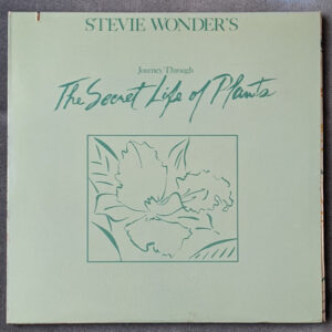 Stevie Wonder - Journey Through The Secret Life Of Plants