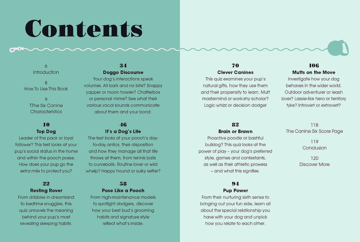 The Dog Pawsonality Test: What our canine friends are really thinking The Dog Pawsonality Test: What our canine friends are really thinking – תמונה 4