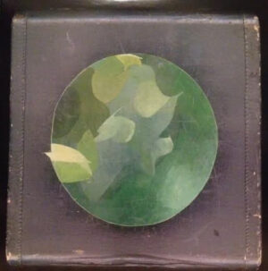 Circulatory System - Mosaics Within Mosaics