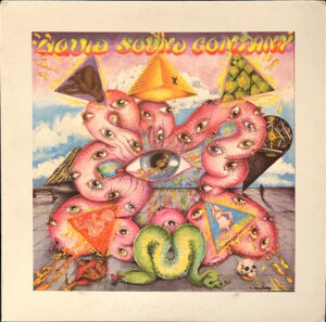 Liquid Sound Company - Exploring The Psychedelic