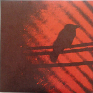 The Silver Mt. Zion Memorial Orchestra & Tra-la-la Band – Born Into Trouble As The Sparks Fly Upward.