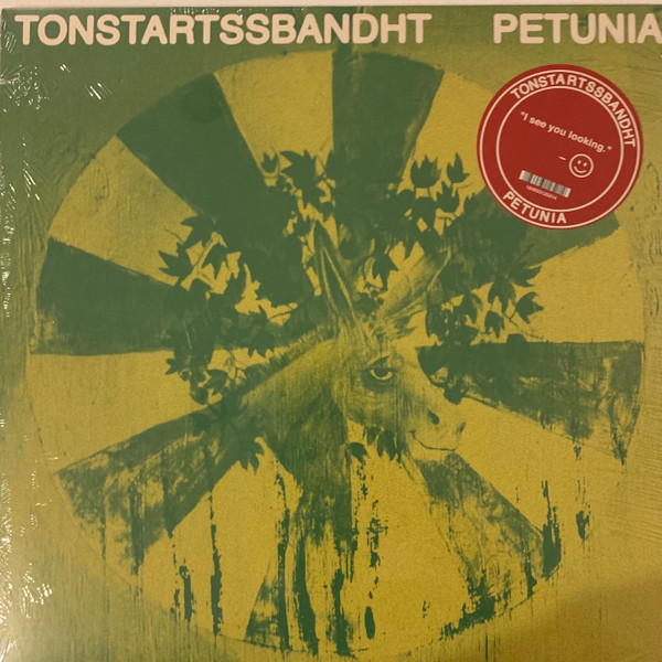 Tonstartssbandht - Petunia Tonstartssbandht - Petunia