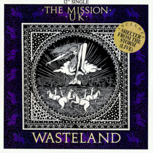 The Mission - Wasteland