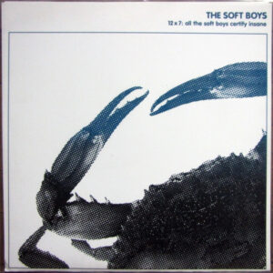 The Soft Boys - 12x7: All The Soft Boys Certify Insane