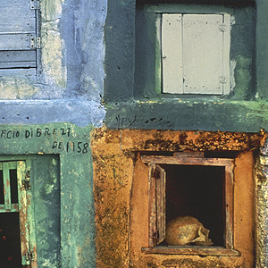 Carpathian - Wanderlust