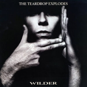 The Teardrop Explodes - Wilder