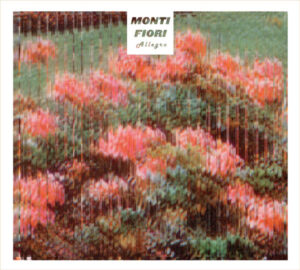 Monti Fiori – Allegro