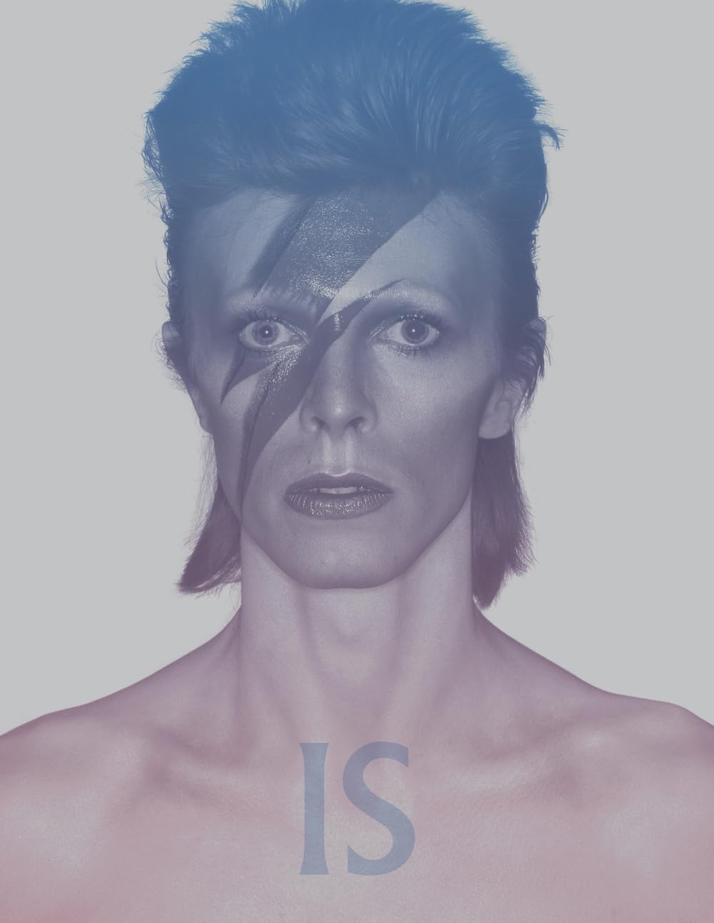 David Bowie Is: Inside the Visionary World of David Bowie David Bowie Is: Inside the Visionary World of David Bowie