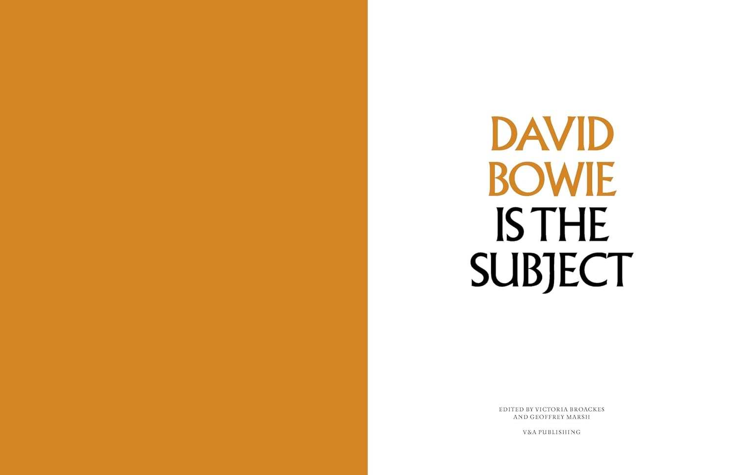 David Bowie Is: Inside the Visionary World of David Bowie David Bowie Is: Inside the Visionary World of David Bowie – תמונה 12