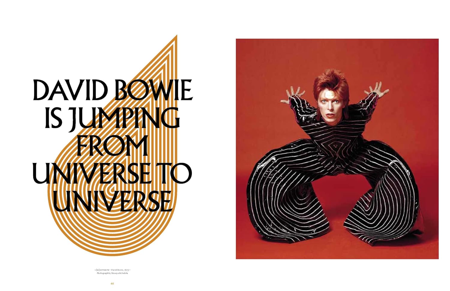 David Bowie Is: Inside the Visionary World of David Bowie David Bowie Is: Inside the Visionary World of David Bowie – תמונה 8