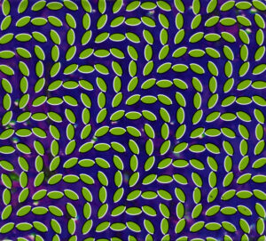 Animal Collective – Merriweather Post Pavilion