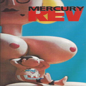 Mercury Rev – Boces