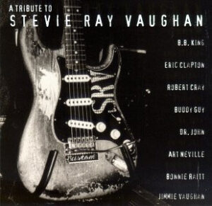 Various - A Tribute To Stevie Ray Vaughan