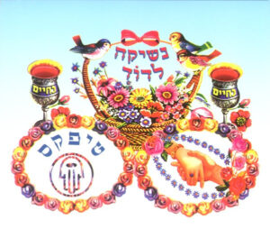 טיפקס – נשיקה לדוד