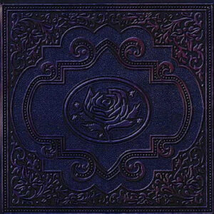 Ryan Adams & The Cardinals – Cold Roses [2CD]