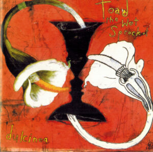 Toad The Wet Sprocket - Dulcinea
