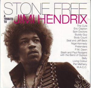 Various - Stone Free (A Tribute To Jimi Hendrix)