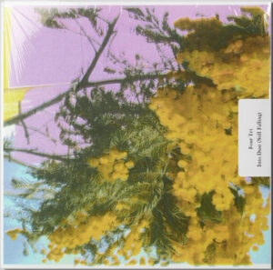 Four Tet - Into Dust (Still Falling) [12" Single]