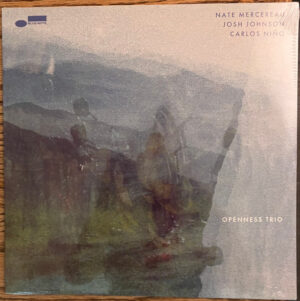 Nate Mercereau - Openness Trio