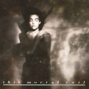 This Mortal Coil – It'll End In Tears