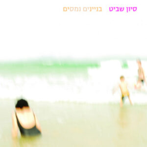 סיון שביט – בניינים נמסים