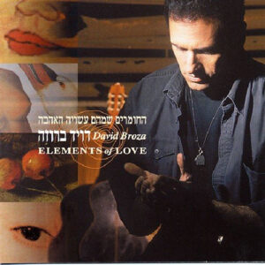דויד ברוזה – החומרים שמהם עשויה האהבה