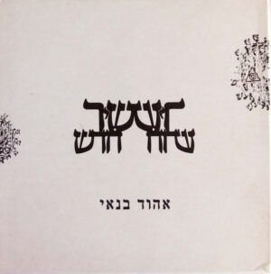 אהוד בנאי – שיר חדש