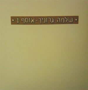 שלמה גרוניך - אוסף 1