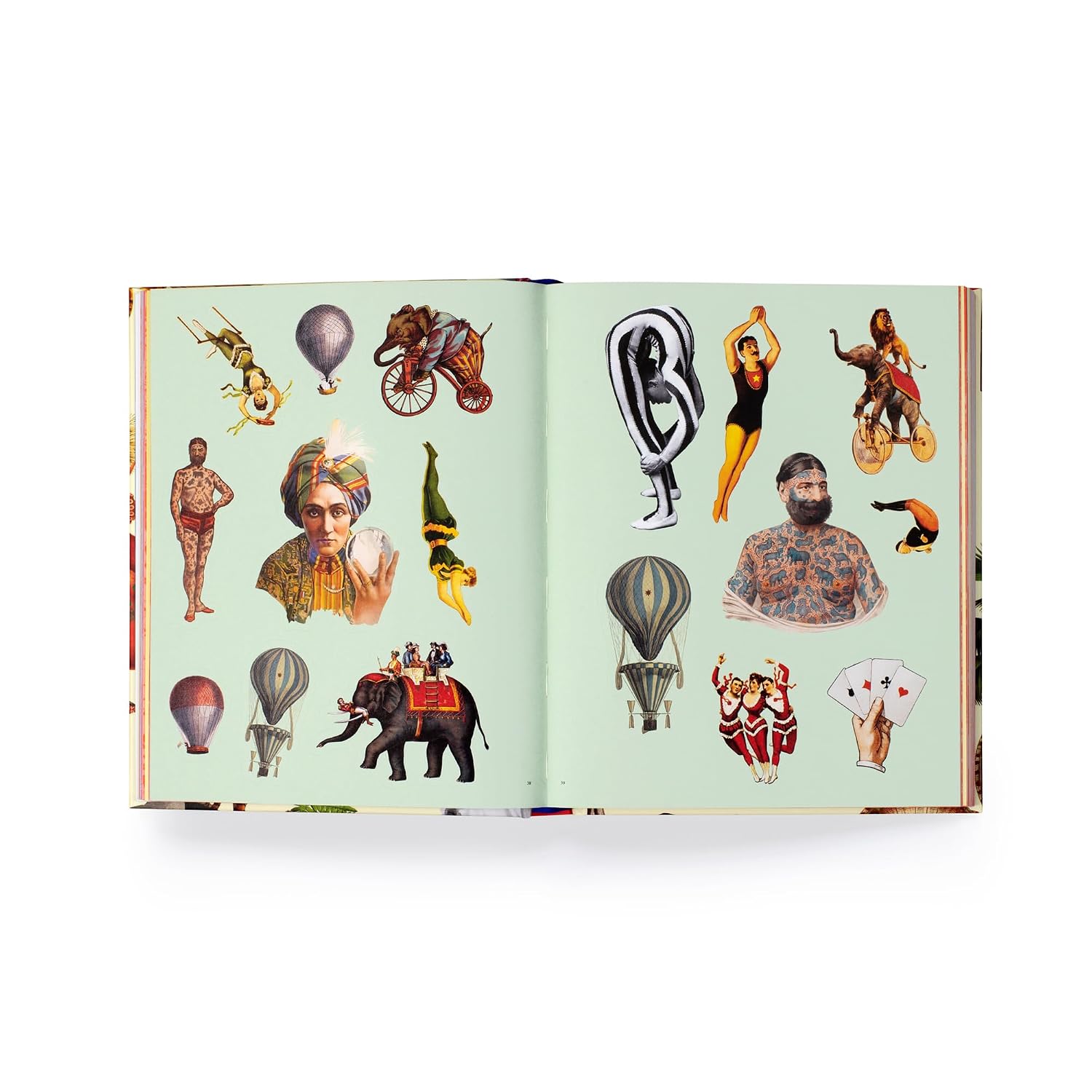 Extraordinary Things Sticker Book Extraordinary Things Sticker Book – תמונה 5
