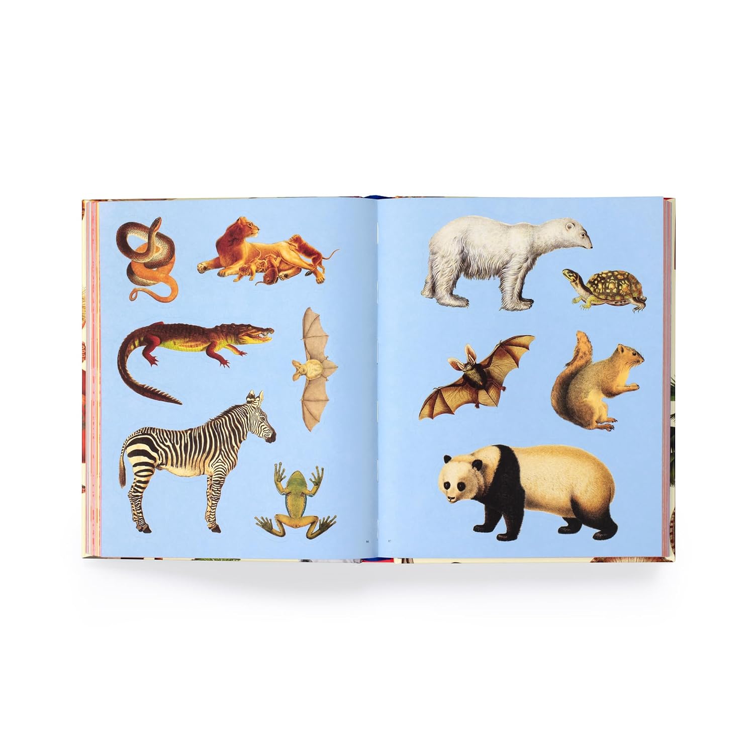 Extraordinary Things Sticker Book Extraordinary Things Sticker Book – תמונה 3