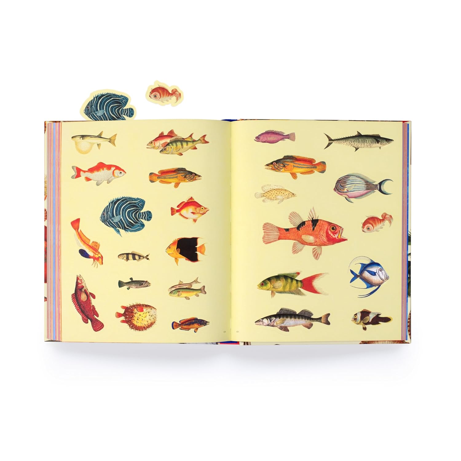 Extraordinary Things Sticker Book Extraordinary Things Sticker Book – תמונה 4