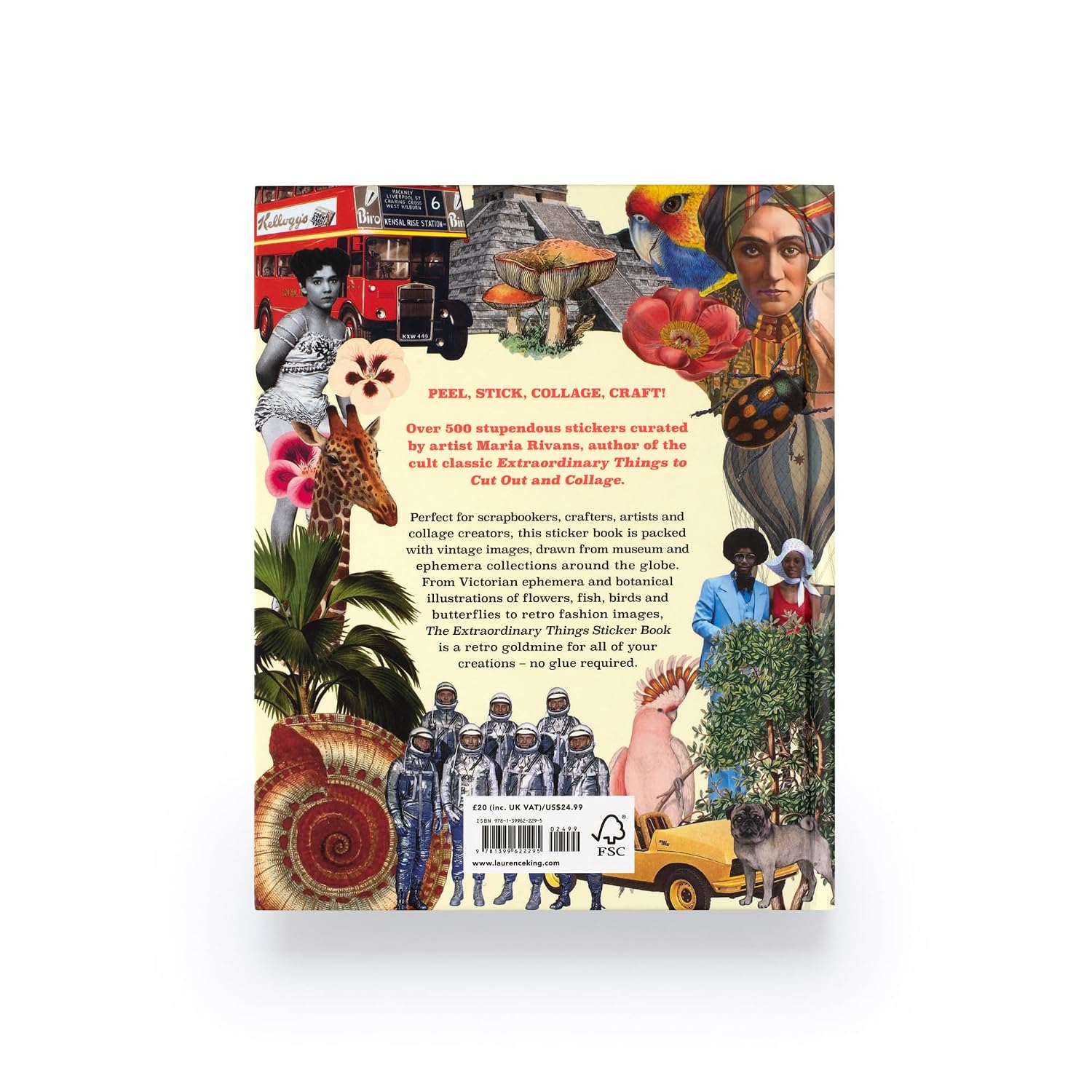 Extraordinary Things Sticker Book Extraordinary Things Sticker Book – תמונה 6