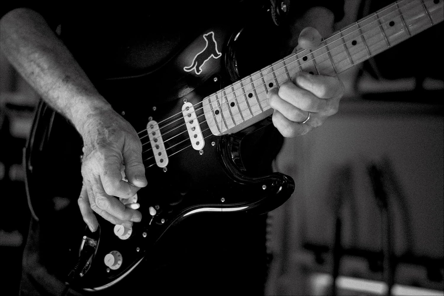 David Gilmour - Luck and Strange - Studio/Live David Gilmour - Luck and Strange - Studio/Live – תמונה 7