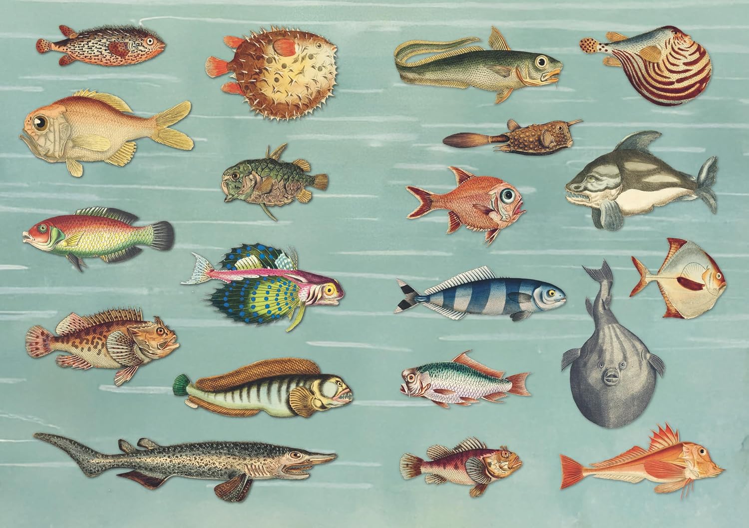 The Curious Collectibles Sticker Book The Curious Collectibles Sticker Book – תמונה 6