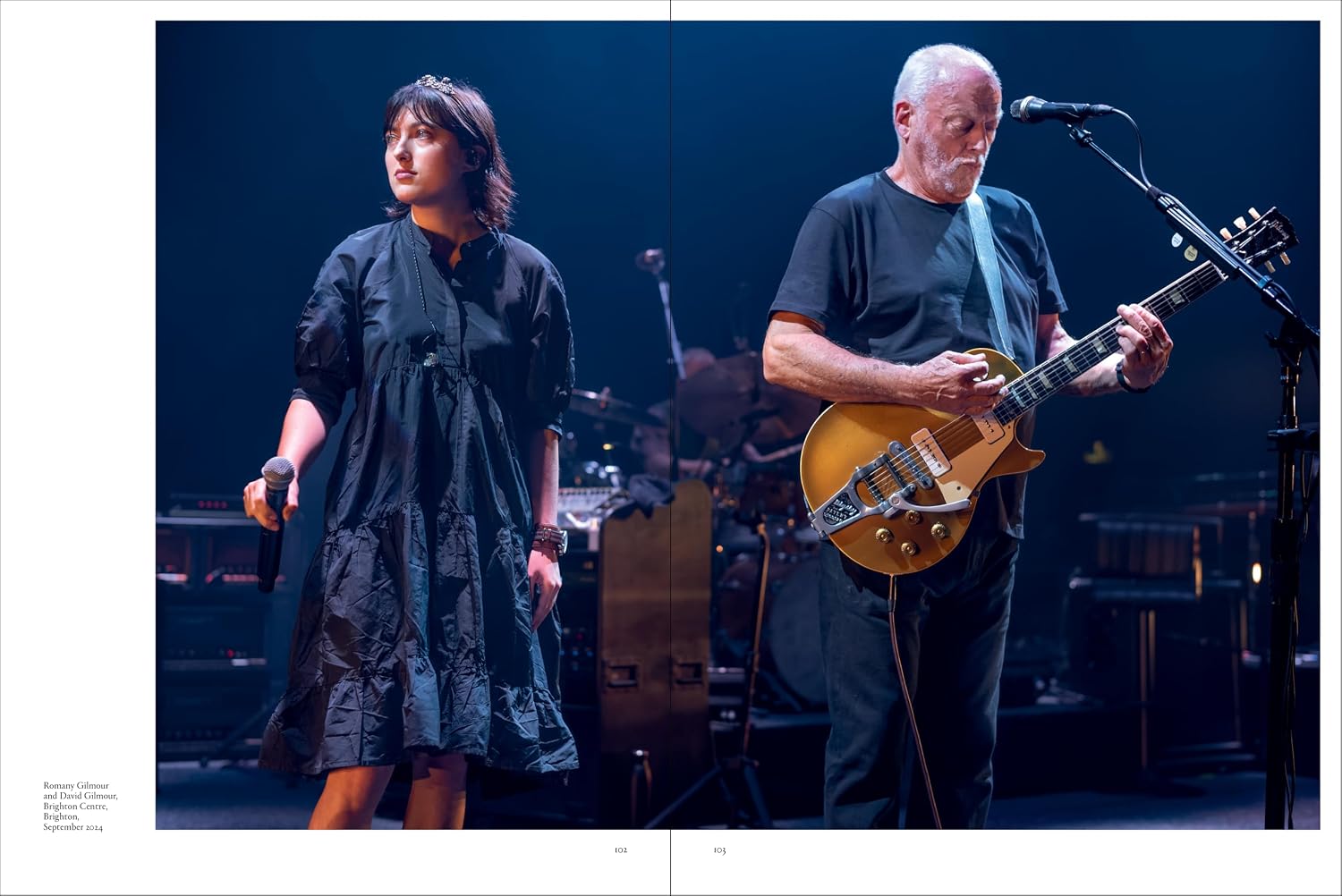 David Gilmour - Luck and Strange - Studio/Live David Gilmour - Luck and Strange - Studio/Live – תמונה 6