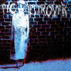 Pig Destroyer - Book Burner [Splatter Vinyl]