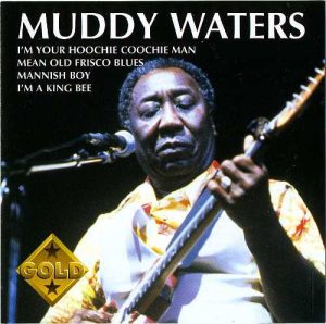 Muddy Waters – Muddy Waters