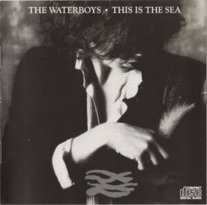 The Waterboys – This Is The Sea