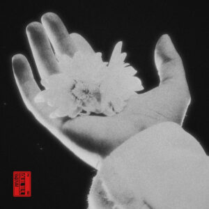 הילה רוח - שחור זוהר [תקליט כפול]
